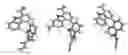 Fig. 01 - Carbazole and tetrahydrocarbazole compounds useful as inhibitors of BTK