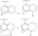 Fig. 06 - Carbazole and tetrahydrocarbazole compounds useful as inhibitors of BTK
