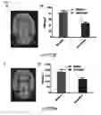 Fig. 06 - Sulfur-containing compounds targeting vesicular acetylcholine transporter
