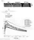 Fig. 08 - Sulfur-containing compounds targeting vesicular acetylcholine transporter