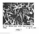 Fig. 02 - Crystalline isoxazole hydroxamic acid compounds