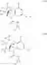 Fig. 06 - Substituted bridged urea analogs as sirtuin modulators