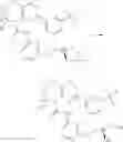 Fig. 1302 - Substituted bridged urea analogs as sirtuin modulators