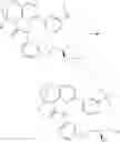 Fig. 1303 - Substituted bridged urea analogs as sirtuin modulators