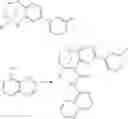 Fig. 1335 - Substituted bridged urea analogs as sirtuin modulators