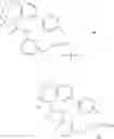 Fig. 1399 - Substituted bridged urea analogs as sirtuin modulators