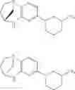 Fig. 219 - Substituted bridged urea analogs as sirtuin modulators