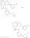 Fig. 245 - Substituted bridged urea analogs as sirtuin modulators