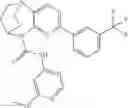 Fig. 455 - Substituted bridged urea analogs as sirtuin modulators