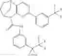 Fig. 602 - Substituted bridged urea analogs as sirtuin modulators