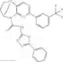 Fig. 991 - Substituted bridged urea analogs as sirtuin modulators