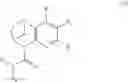 Fig. 06 - SUBSTITUTED BRIDGED UREA ANALOGS AS SIRTUIN MODULATORS