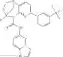 Fig. 1146 - SUBSTITUTED BRIDGED UREA ANALOGS AS SIRTUIN MODULATORS