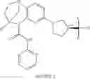 Fig. 211 - SUBSTITUTED BRIDGED UREA ANALOGS AS SIRTUIN MODULATORS