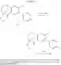 Fig. 232 - SUBSTITUTED BRIDGED UREA ANALOGS AS SIRTUIN MODULATORS