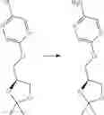 Fig. 443 - SUBSTITUTED BRIDGED UREA ANALOGS AS SIRTUIN MODULATORS