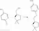 Fig. 450 - SUBSTITUTED BRIDGED UREA ANALOGS AS SIRTUIN MODULATORS