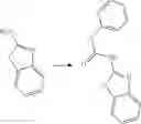 Fig. 451 - SUBSTITUTED BRIDGED UREA ANALOGS AS SIRTUIN MODULATORS