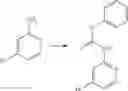 Fig. 452 - SUBSTITUTED BRIDGED UREA ANALOGS AS SIRTUIN MODULATORS