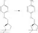 Fig. 455 - SUBSTITUTED BRIDGED UREA ANALOGS AS SIRTUIN MODULATORS