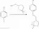 Fig. 456 - SUBSTITUTED BRIDGED UREA ANALOGS AS SIRTUIN MODULATORS