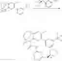 Fig. 503 - SUBSTITUTED BRIDGED UREA ANALOGS AS SIRTUIN MODULATORS