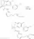 Fig. 541 - SUBSTITUTED BRIDGED UREA ANALOGS AS SIRTUIN MODULATORS