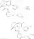 Fig. 545 - SUBSTITUTED BRIDGED UREA ANALOGS AS SIRTUIN MODULATORS
