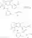 Fig. 552 - SUBSTITUTED BRIDGED UREA ANALOGS AS SIRTUIN MODULATORS