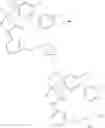 Fig. 582 - SUBSTITUTED BRIDGED UREA ANALOGS AS SIRTUIN MODULATORS
