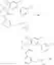 Fig. 593 - SUBSTITUTED BRIDGED UREA ANALOGS AS SIRTUIN MODULATORS
