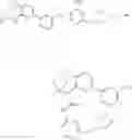 Fig. 603 - SUBSTITUTED BRIDGED UREA ANALOGS AS SIRTUIN MODULATORS