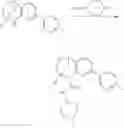 Fig. 761 - SUBSTITUTED BRIDGED UREA ANALOGS AS SIRTUIN MODULATORS