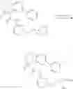 Fig. 805 - SUBSTITUTED BRIDGED UREA ANALOGS AS SIRTUIN MODULATORS