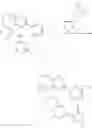 Fig. 807 - SUBSTITUTED BRIDGED UREA ANALOGS AS SIRTUIN MODULATORS