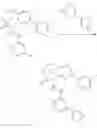 Fig. 821 - SUBSTITUTED BRIDGED UREA ANALOGS AS SIRTUIN MODULATORS