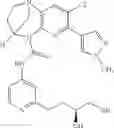Fig. 970 - SUBSTITUTED BRIDGED UREA ANALOGS AS SIRTUIN MODULATORS