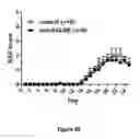 Fig. 19 - COMPOSITIONS AND METHODS FOR MODULATING SALM5 AND HVEM