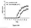 Fig. 24 - COMPOSITIONS AND METHODS FOR MODULATING SALM5 AND HVEM