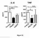 Fig. 26 - COMPOSITIONS AND METHODS FOR MODULATING SALM5 AND HVEM