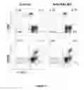 Fig. 28 - COMPOSITIONS AND METHODS FOR MODULATING SALM5 AND HVEM
