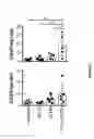 Fig. 06 - Anti-GITR antibodies and uses thereof