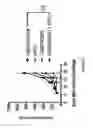 Fig. 08 - Anti-GITR antibodies and uses thereof