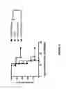 Fig. 09 - Anti-GITR antibodies and uses thereof