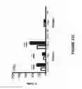 Fig. 32 - Anti-GITR antibodies and uses thereof