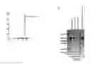 Fig. 01 - METHODS OF USING BISPECIFIC ANTIGEN-BINDING CONSTRUCTS TARGETING HER2
