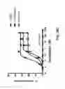 Fig. 44 - METHODS OF USING BISPECIFIC ANTIGEN-BINDING CONSTRUCTS TARGETING HER2