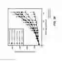 Fig. 53 - METHODS OF USING BISPECIFIC ANTIGEN-BINDING CONSTRUCTS TARGETING HER2