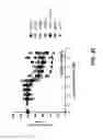 Fig. 65 - METHODS OF USING BISPECIFIC ANTIGEN-BINDING CONSTRUCTS TARGETING HER2
