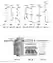 Fig. 02 - Biocompatible coatings and hydrogels for reducing foreign body response and fibrosis